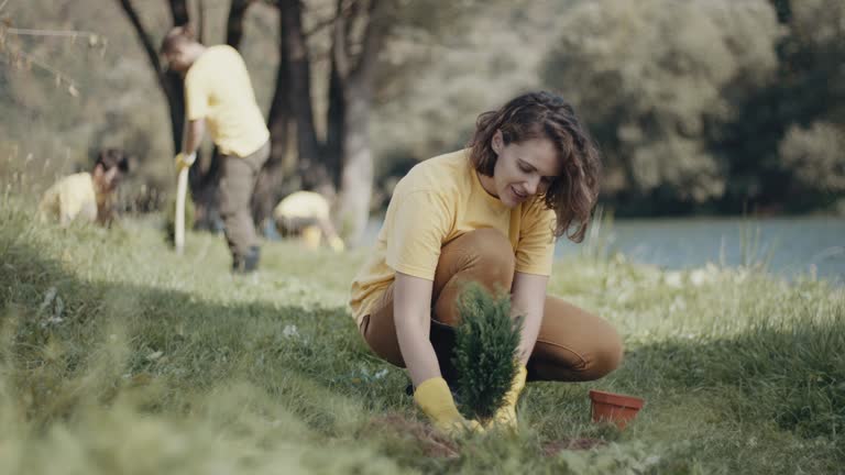 Best Lawn Maintenance Plans  in Wilkes Barre, PA